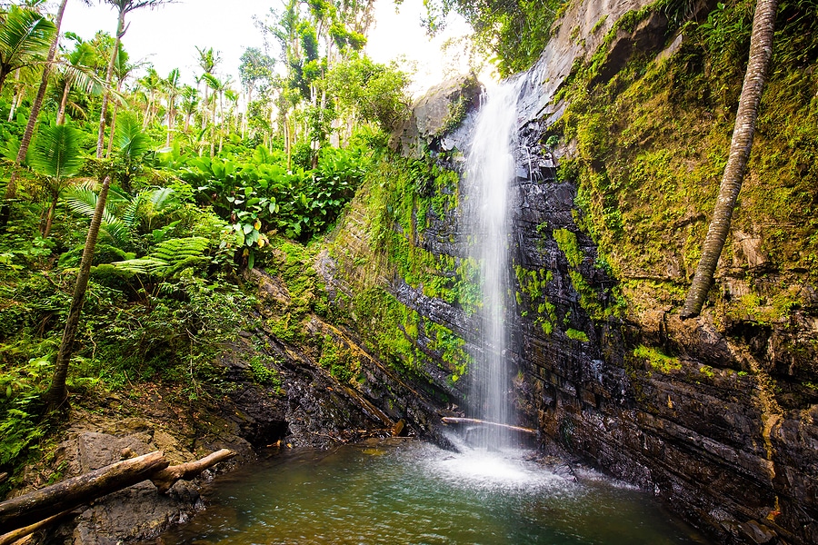 Image of Juan Diego Falls at El Yunque rainforest Puerto Rico.